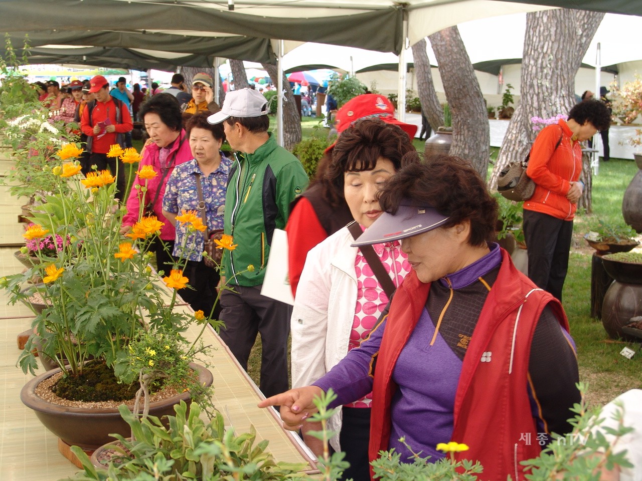 지난해 야생화전시회