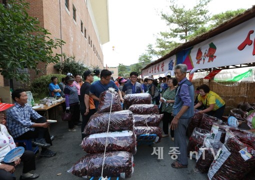 고추따기체험행사에 참여한 관광객이 직접 수확한 고추를 들고 있는 모습