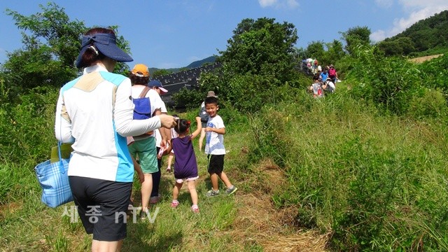 전년도 숲걷기 모습
