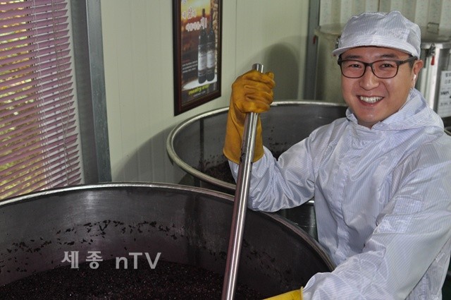 영동 와인 생산