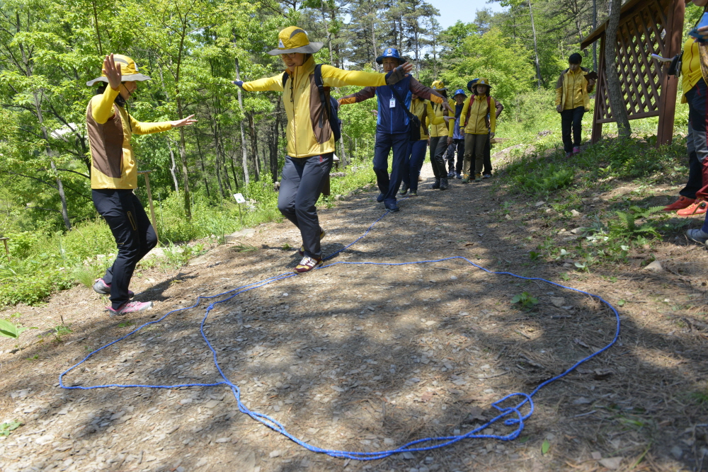 새야 새야 어떻게 사니 라는 주제를 자지고 새들이 둥지를 찾아가는 모습을 시연