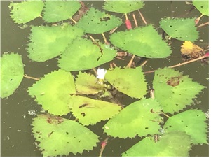 진명호 환경부 환경교육팀장