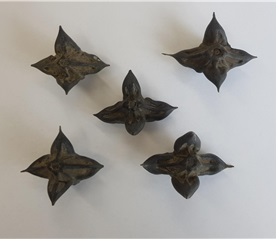 진명호 환경부 환경교육팀장