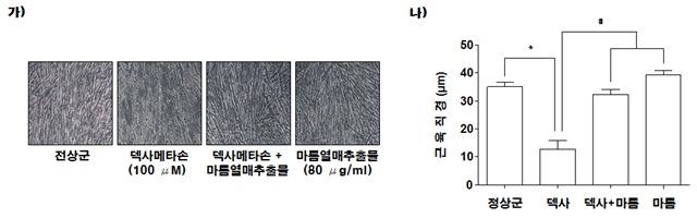 진명호 환경부 환경교육팀장