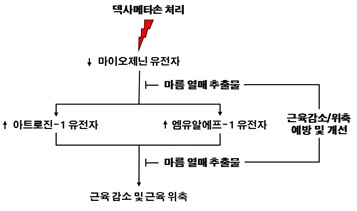 진명호 환경부 환경교육팀장