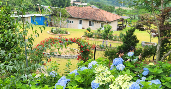 ▲개인정원 부문 꽃마당(장군면)(정원도시과)