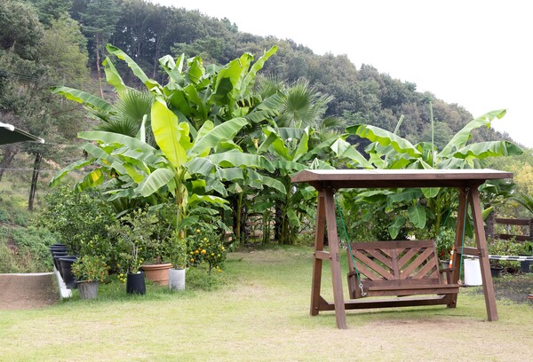 세종_탐라의_숲(정원도시과)